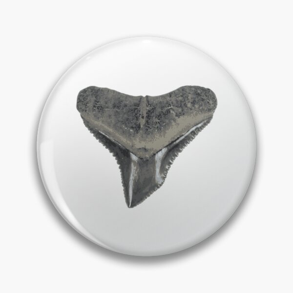 Item preview, Bull Shark Tooth Sticker designed and sold by rojbskn.