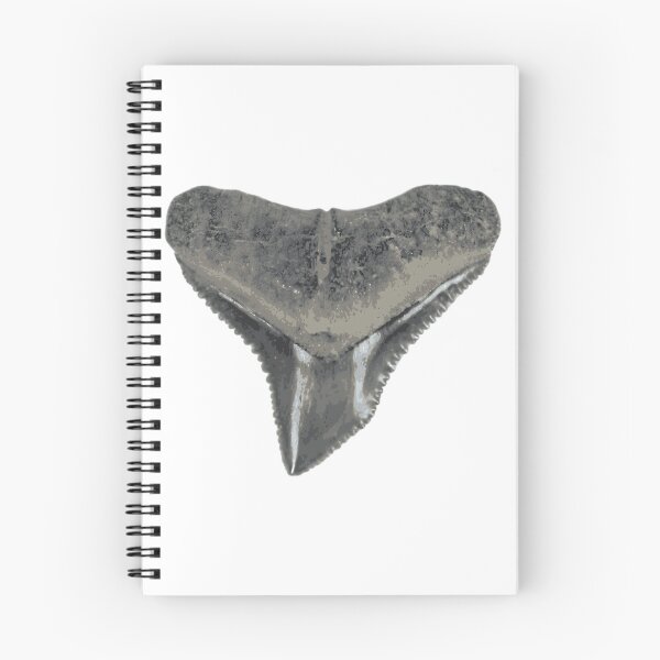 Item preview, Bull Shark Tooth Sticker designed and sold by rojbskn.