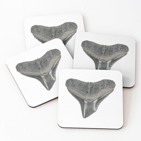 Item preview, Bull Shark Tooth Sticker designed and sold by rojbskn.