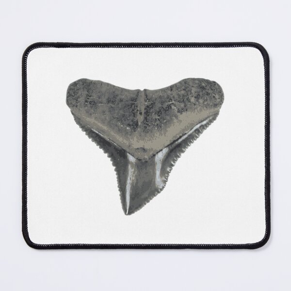 Item preview, Bull Shark Tooth Sticker designed and sold by rojbskn.
