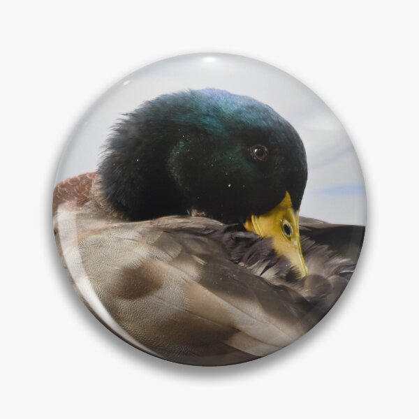 Item preview, Mallard Duck Preening on Rippled Water designed and sold by Shanguai.