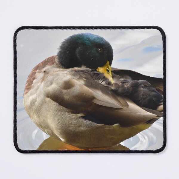 Item preview, Mallard Duck Preening on Rippled Water designed and sold by Shanguai.