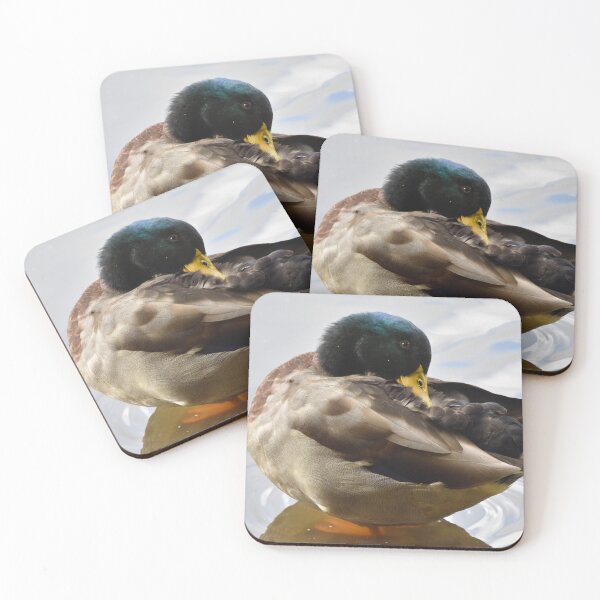 Item preview, Mallard Duck Preening on Rippled Water designed and sold by Shanguai.