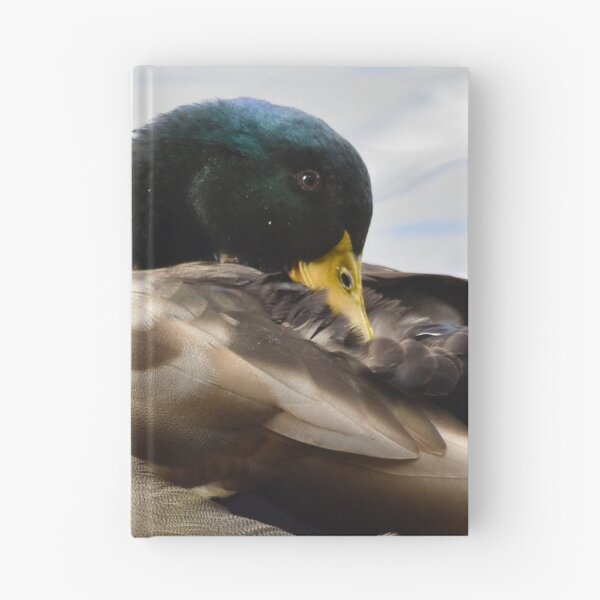 Item preview, Mallard Duck Preening on Rippled Water designed and sold by Shanguai.