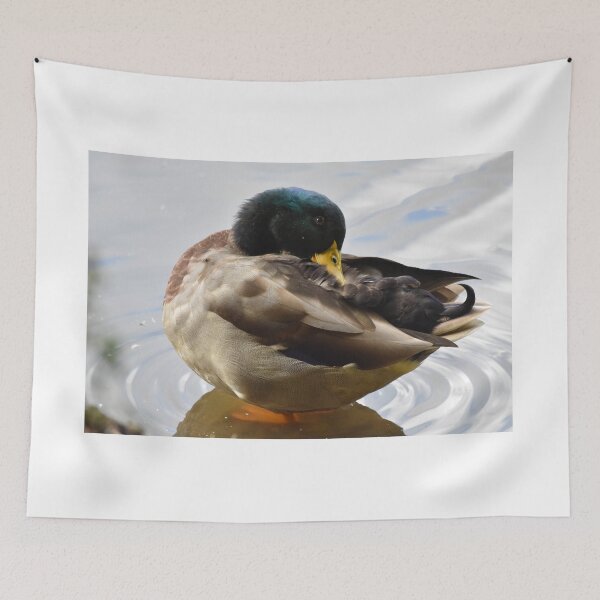 Item preview, Mallard Duck Preening on Rippled Water designed and sold by Shanguai.