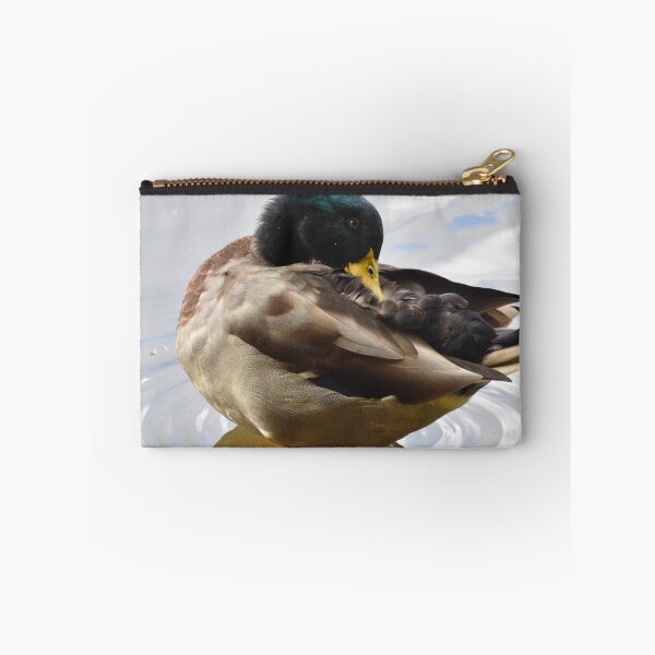 Item preview, Mallard Duck Preening on Rippled Water designed and sold by Shanguai.