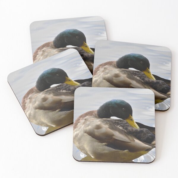 Item preview, Preening Mallard Drake Close Up Portrait designed and sold by Shanguai.