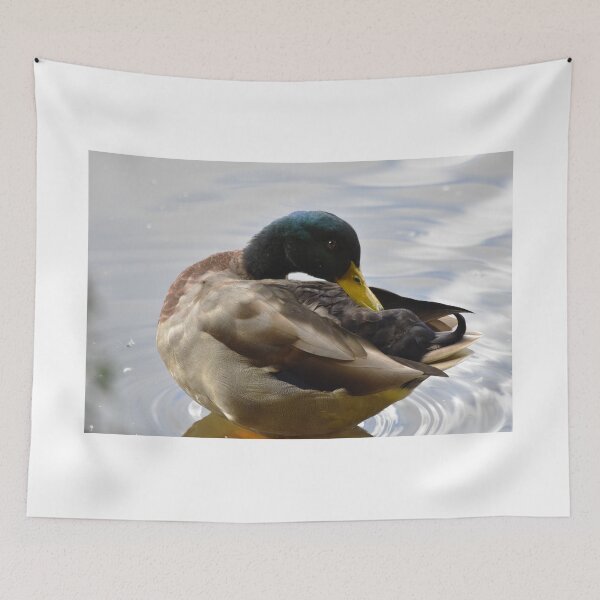 Item preview, Preening Mallard Drake Close Up Portrait designed and sold by Shanguai.