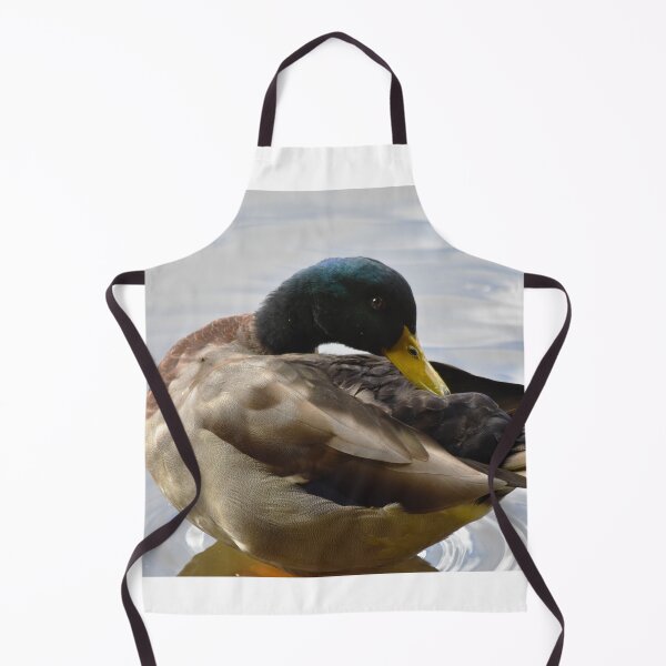 Item preview, Preening Mallard Drake Close Up Portrait designed and sold by Shanguai.