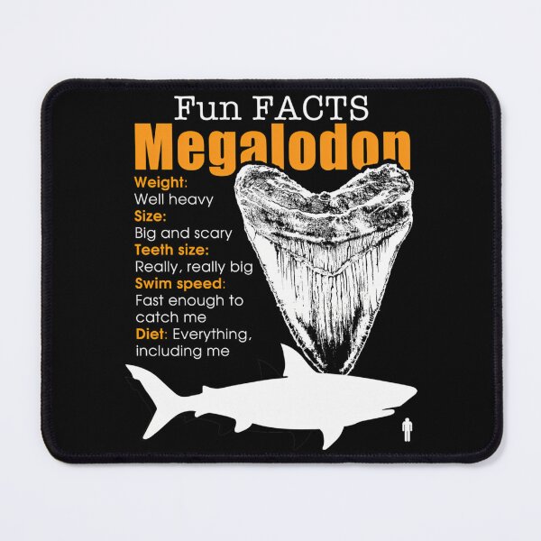Item preview, Funny Megalodon Tshirt - Great Gift For Shark Lovers designed and sold by rojbskn.