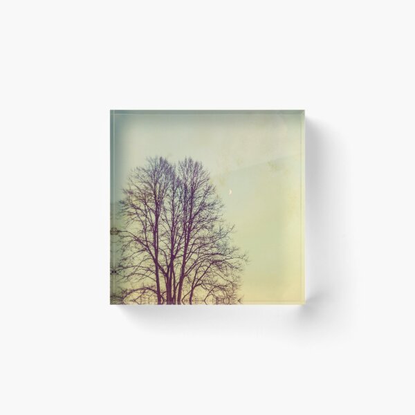 Item preview, Twin Tree Silhouette designed and sold by Debra Cox.