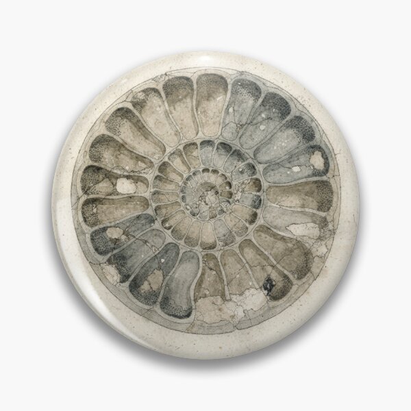 Item preview, Vintage Ammonite Fossil Specimen Plate designed and sold by PictorialWhimsy.