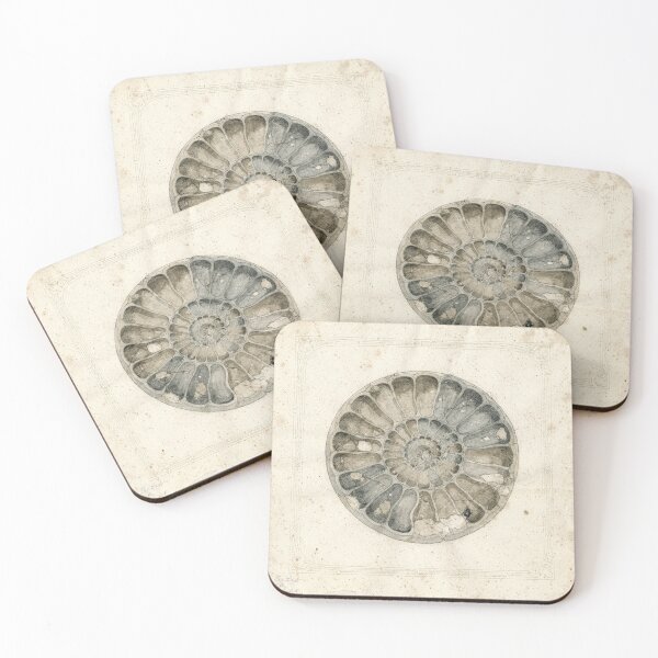 Item preview, Vintage Ammonite Fossil Specimen Plate designed and sold by PictorialWhimsy.