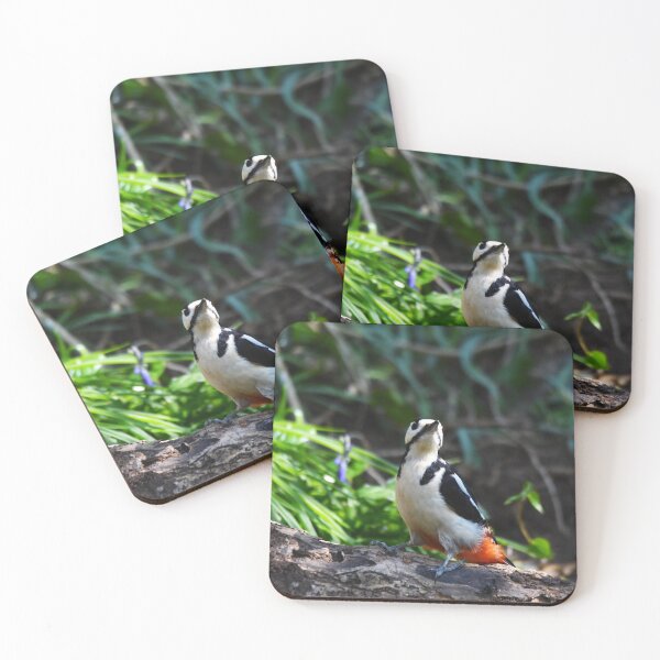 Item preview, Great Spotted Woodpecker on Woodland Log designed and sold by Shanguai.
