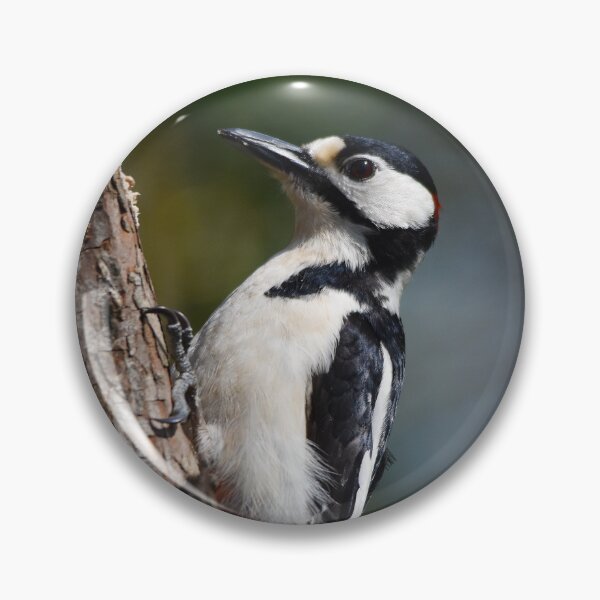 Item preview, Great Spotted Woodpecker Climbing Tree Trunk designed and sold by Shanguai.