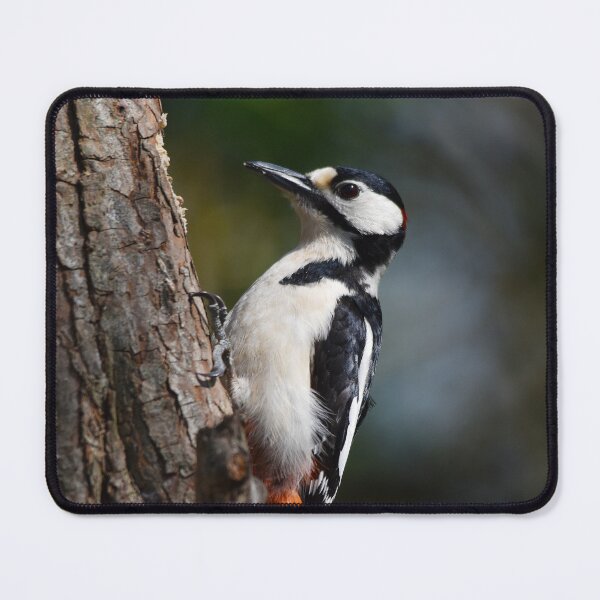 Item preview, Great Spotted Woodpecker Climbing Tree Trunk designed and sold by Shanguai.