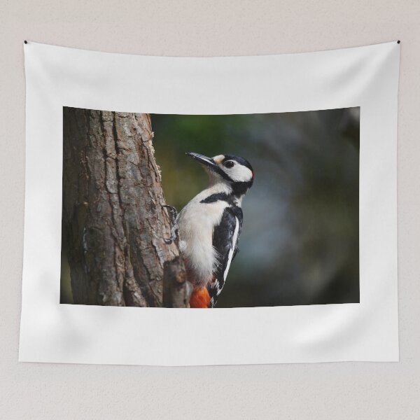 Item preview, Great Spotted Woodpecker Climbing Tree Trunk designed and sold by Shanguai.