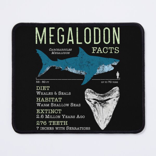 Item preview, Megalodon Facts designed and sold by rojbskn.