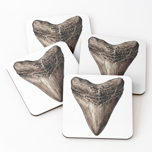Item preview, Megalodon Fossil Tooth Vintage  Shark Tooth designed and sold by rojbskn.