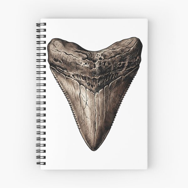 Item preview, Megalodon Fossil Tooth Vintage  Shark Tooth designed and sold by rojbskn.