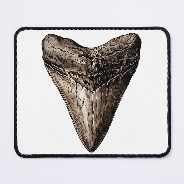 Item preview, Megalodon Fossil Tooth Vintage Shark Tooth designed and sold by rojbskn.