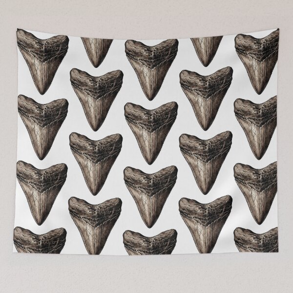 Item preview, Megalodon Fossil Tooth Vintage  Shark Tooth designed and sold by rojbskn.
