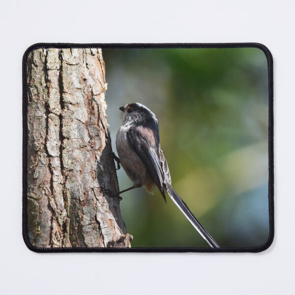 Item preview, Long Tailed Tit Perched on Tree Bark designed and sold by Shanguai.