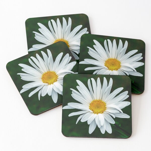 Item preview, Daisy Macro designed and sold by Tom McPherson Photography.