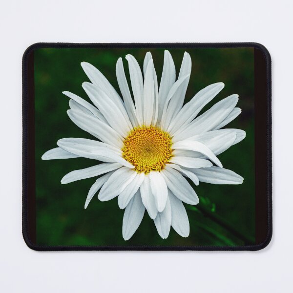 Item preview, Daisy Macro designed and sold by Tom McPherson Photography.