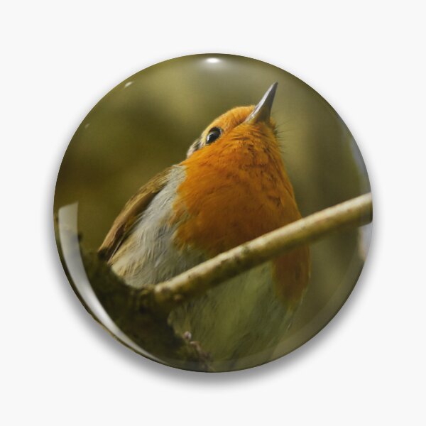 Item preview, Robin Looking Up From Woodland Branch designed and sold by Shanguai.