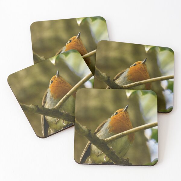 Item preview, Robin Looking Up From Woodland Branch designed and sold by Shanguai.