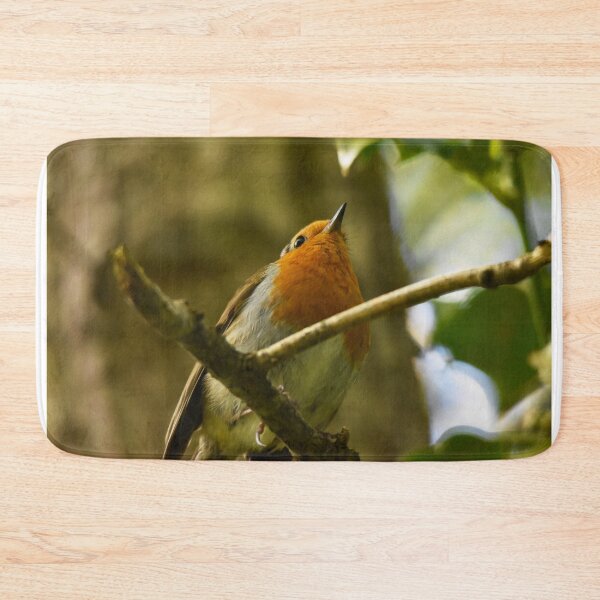 Item preview, Robin Looking Up From Woodland Branch designed and sold by Shanguai.