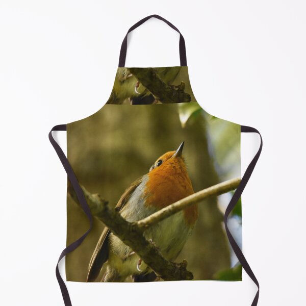 Item preview, Robin Looking Up From Woodland Branch designed and sold by Shanguai.