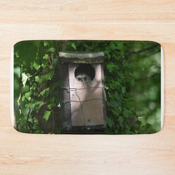 Item preview, Owl Peeking From Ivy Covered Nest Box designed and sold by Shanguai.