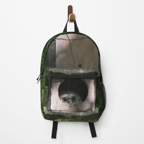 Item preview, Owl Peeking From Ivy Covered Nest Box designed and sold by Shanguai.