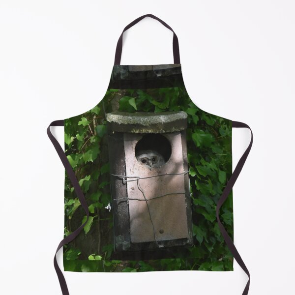 Item preview, Owl Peeking From Ivy Covered Nest Box designed and sold by Shanguai.