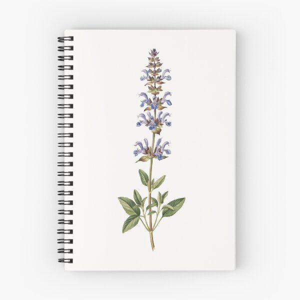 Item preview, Minimal Single Line Botanical Print designed and sold by Bright Zebra Creative.