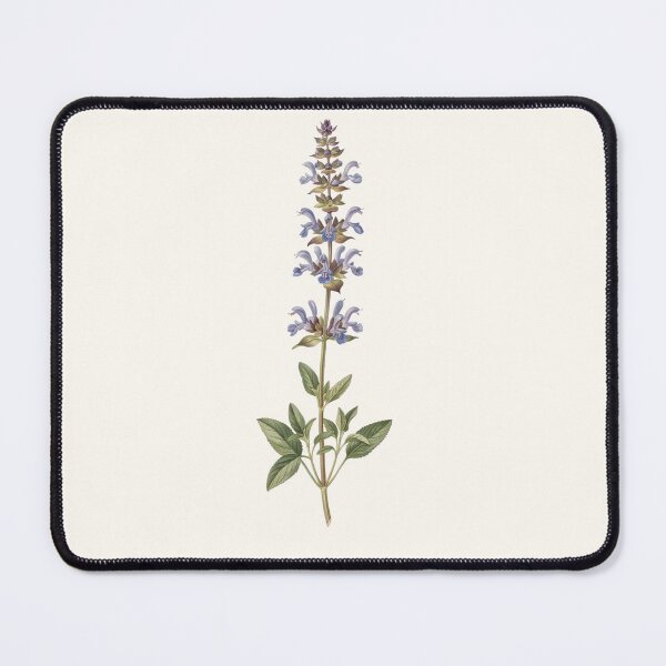 Item preview, Minimal Single Line Botanical Print designed and sold by Bright Zebra Creative.