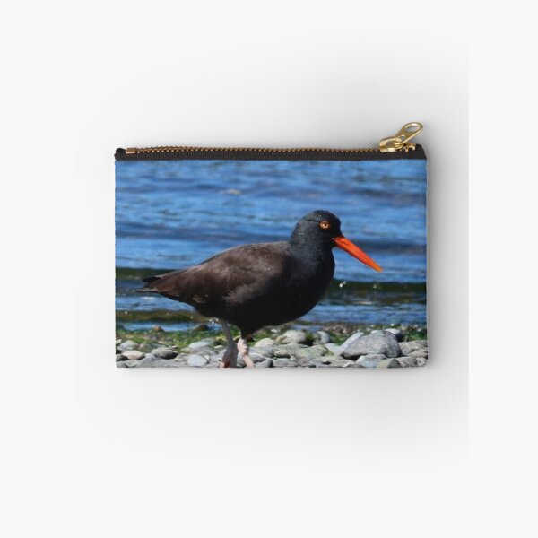 Item preview, Oystercatcher designed and sold by Penwortham.