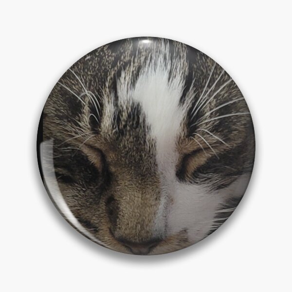 Item preview, Kitty Close-up designed and sold by HauntedOpera.