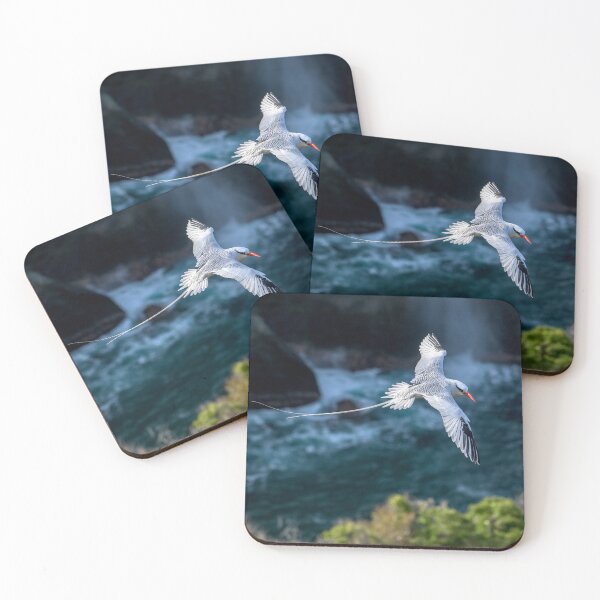 Item preview, Red billed tropicbird designed and sold by Rachel Lee Young - Land of the Hummingbird.