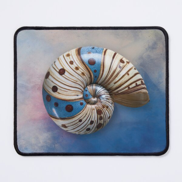 Item preview, Fancy Seashell designed and sold by Elisabeth Lucas.