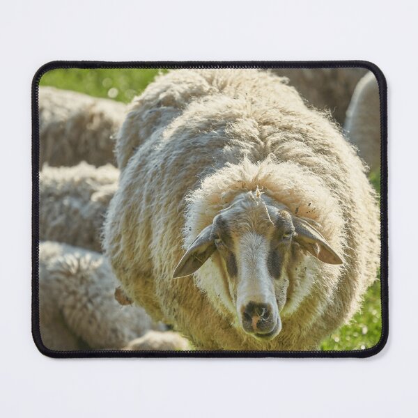 Item preview, Sheep Lover Farmer designed and sold by AdnyMalSOtin.