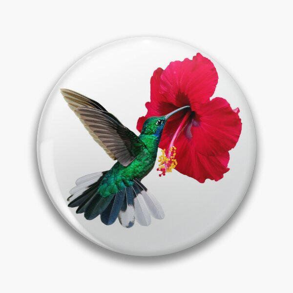 Item preview, White tailed Sabrewing and hibiscus designed and sold by Rachel Lee Young - Land of the Hummingbird.
