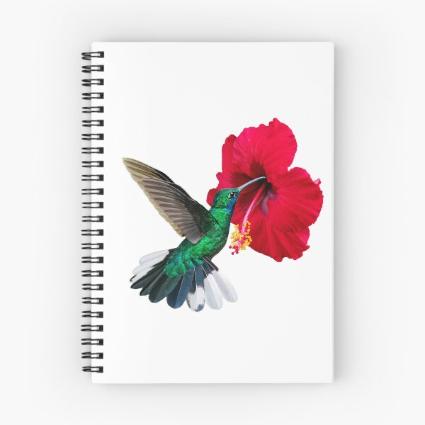 Item preview, White tailed Sabrewing and hibiscus designed and sold by Rachel Lee Young - Land of the Hummingbird.