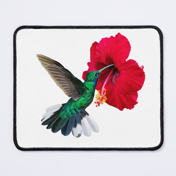 Item preview, White tailed Sabrewing and hibiscus designed and sold by Rachel Lee Young - Land of the Hummingbird.