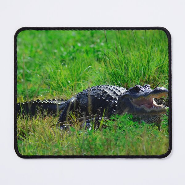 Item preview, Alligator with open mouth designed and sold by SeaChelly .