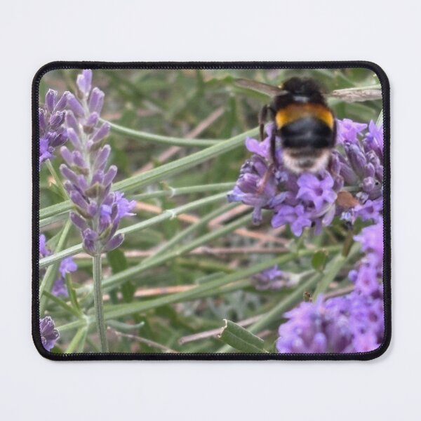 Item preview, Pollinating bee designed and sold by Antz Designs.