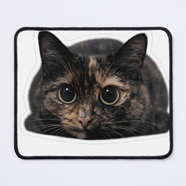 Item preview, The Cat Loaf Has Seen Everything designed and sold by OneStepFromArt.