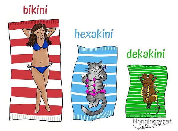 Beachwear for all mammalian bodies! by Minimus and more | Redbubble